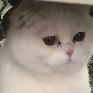 😞