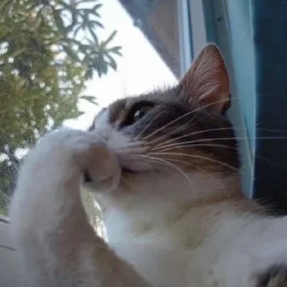 🥲
