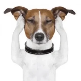 😒