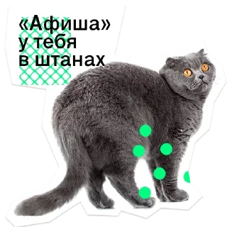 😮