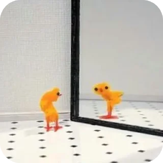 🐦