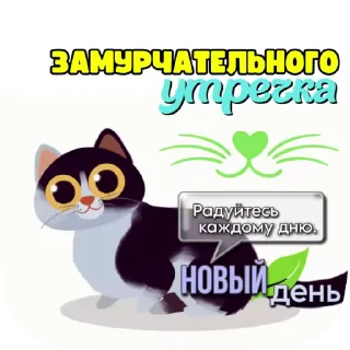 😻