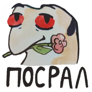 💩