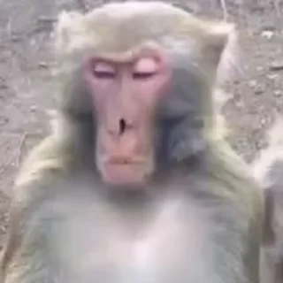 🤩