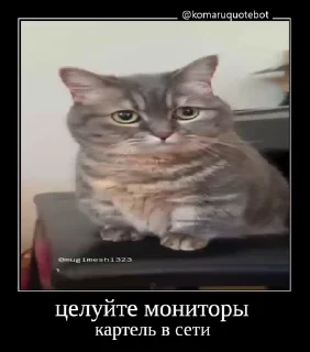 🤩