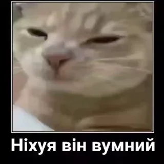 😐