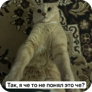🫥