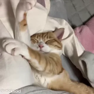 😊