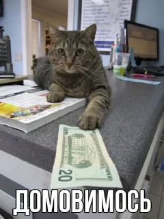 💲