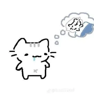 🐱