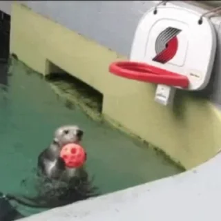 🏀