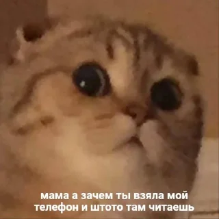 😨