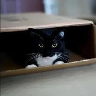👀