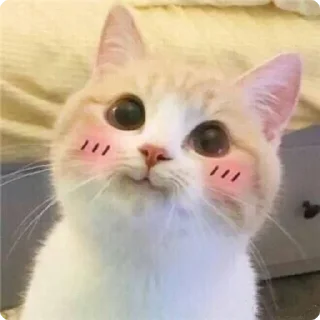 🤭