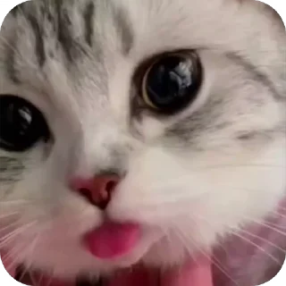 😝