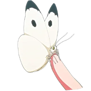 🦋