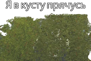🌳