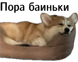 💤
