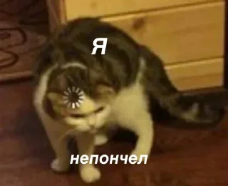 🙉
