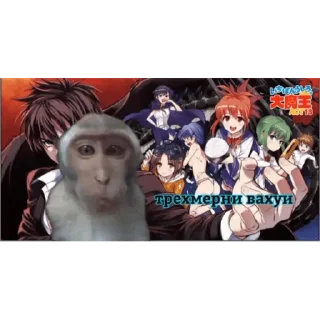 🐵