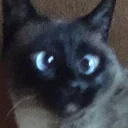 😳