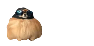 😎