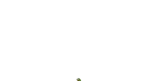 🐸