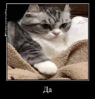 😳