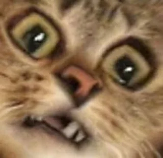 😨