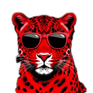 😎