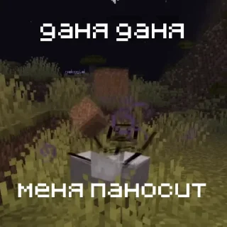 💩