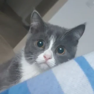 😕