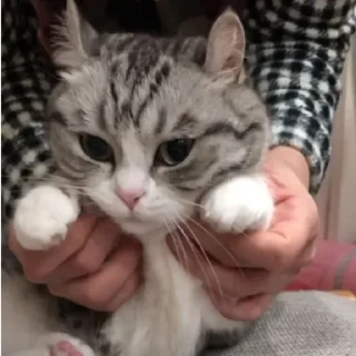 🥰