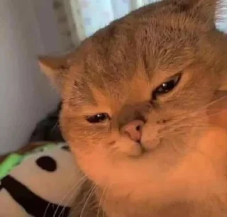 😏