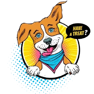 🐶