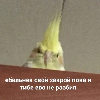 😠