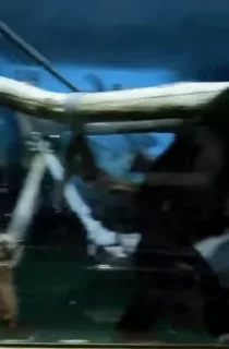😏