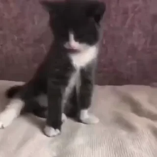 😴