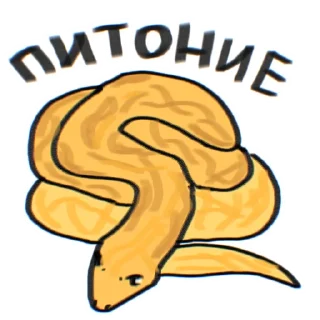 🐍