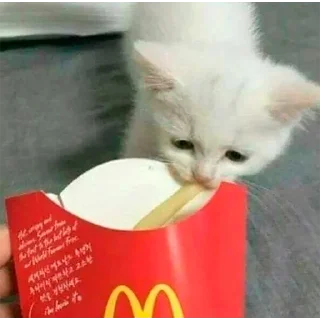 🍟