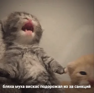 😩