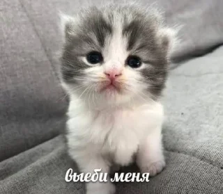 😀