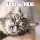😴