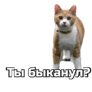 🤨