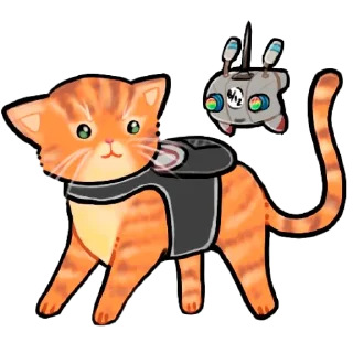 🐱