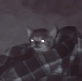 😴
