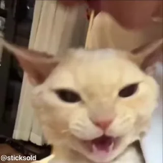 😘