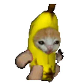 🐈