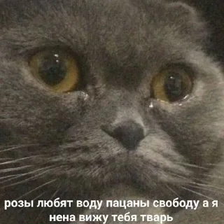 😩