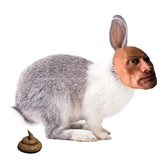 💩